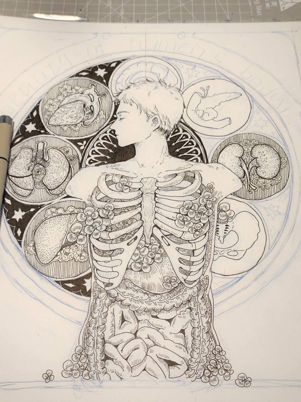 画了一半的解剖绘图比赛 嗯嗯嗯啊啊啊啊啊啊不想给学校交啊啊啊啊啊