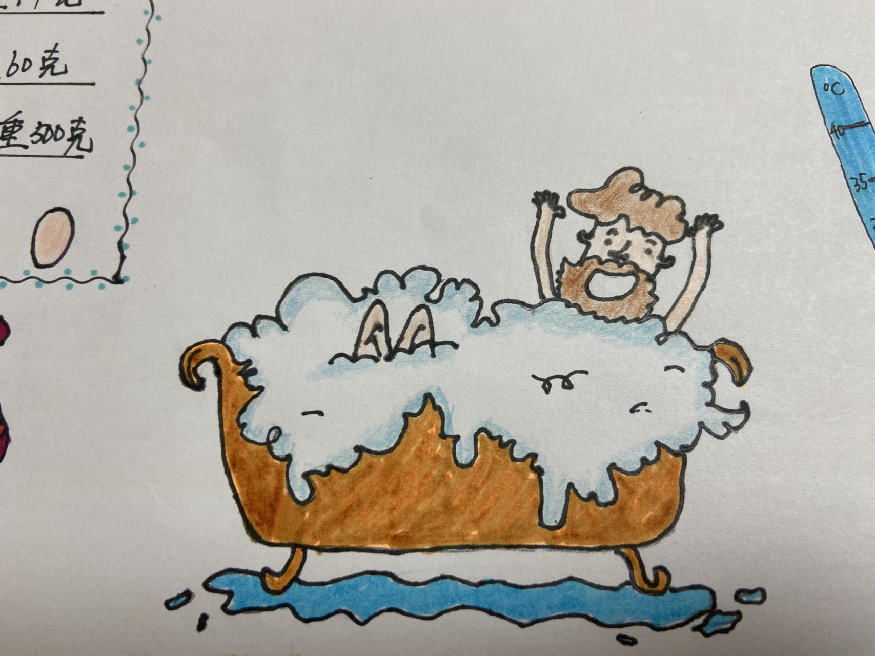 数学小报 度量衡 数学小报 度量衡