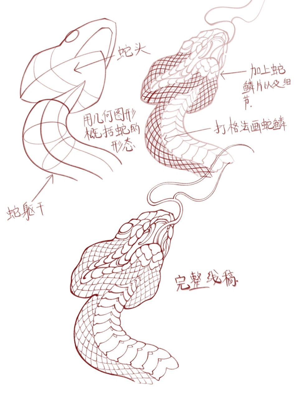 新传统纹身教程 蛇头合集 新传统风格纹身 新传统蛇头合集 点赞收藏加