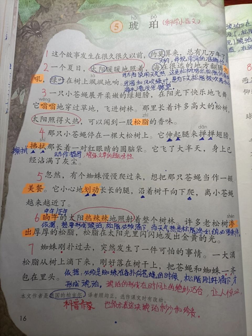 第五课琥珀 #四年级下册语文# #四年级语文下册# #四年级语文下册课堂