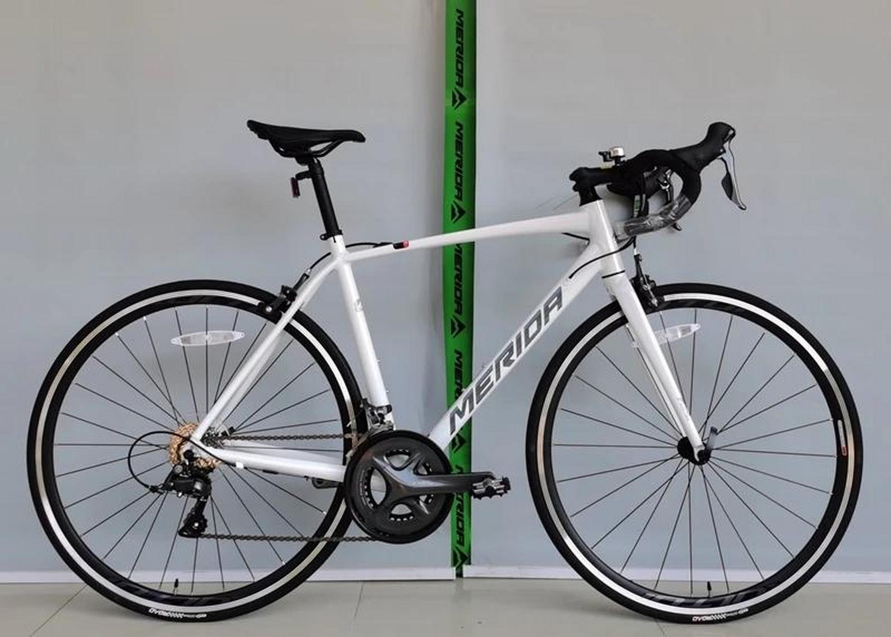 最新款斯特拉93茉莉白来喽.