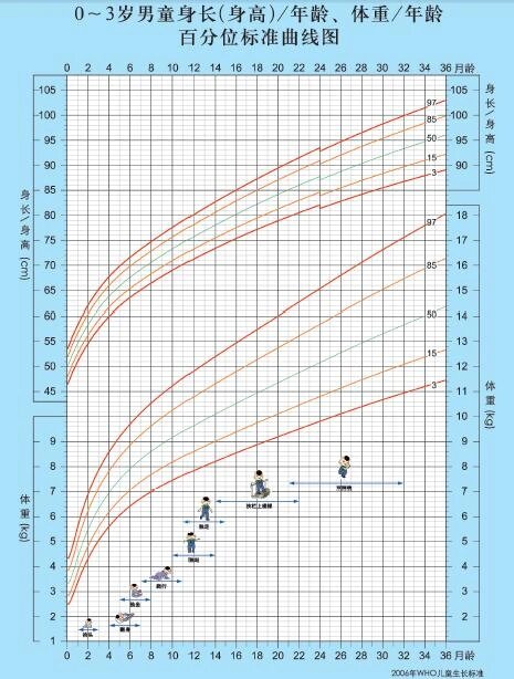 儿童生长发育标准及生长百分比曲线图 二宝前几天3个月体检