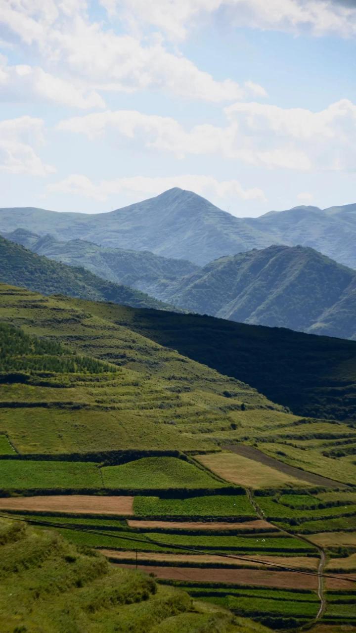 甘肃61岷县|狼渡滩湿地草原