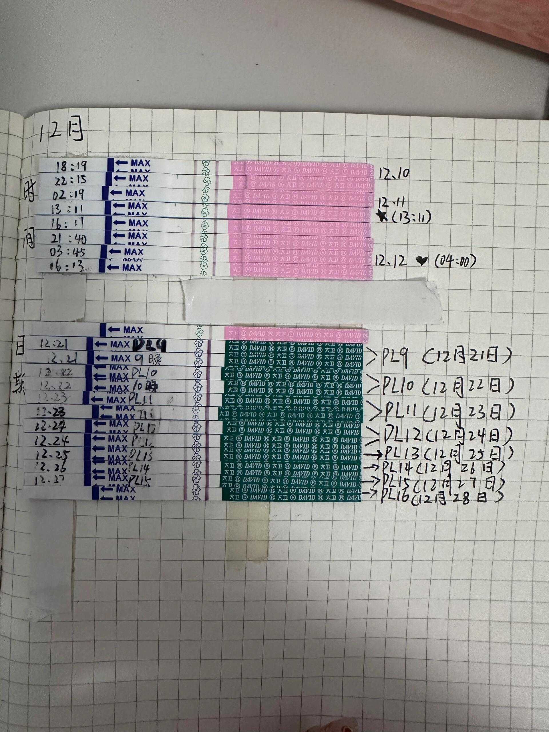 移植后排卵试纸变化图图片