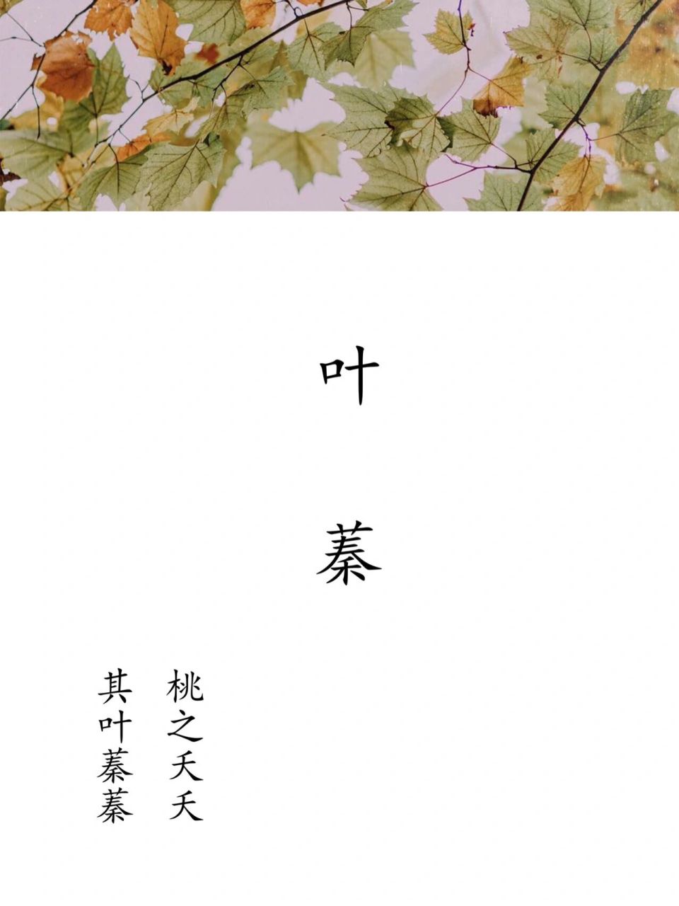 原创起名 | 叶蓁 出自诗句:"桃之夭夭,其叶蓁蓁.