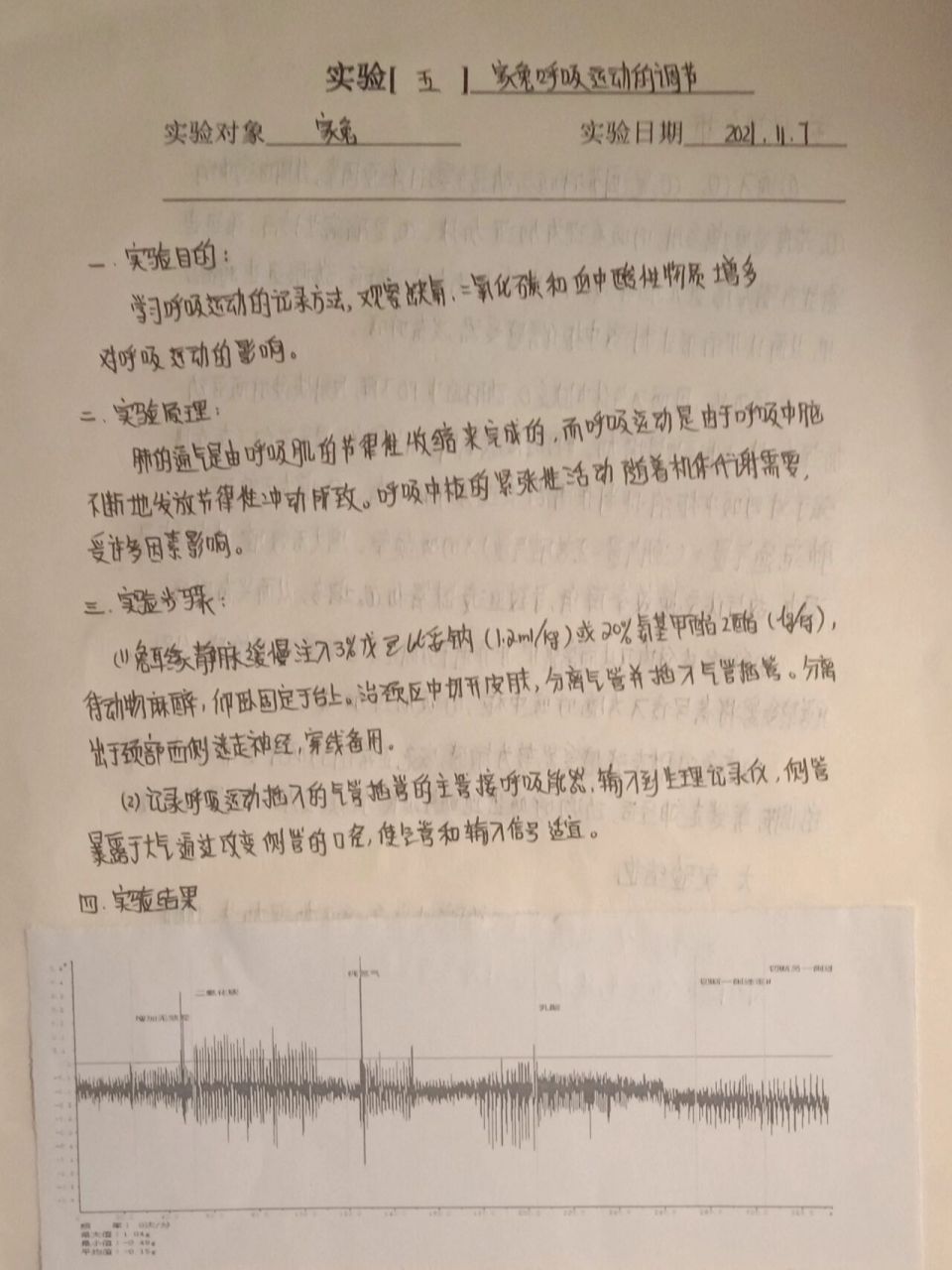 生理實驗報告 (家兔呼吸運動的調節) 生理實驗報告 (家兔呼吸運動的