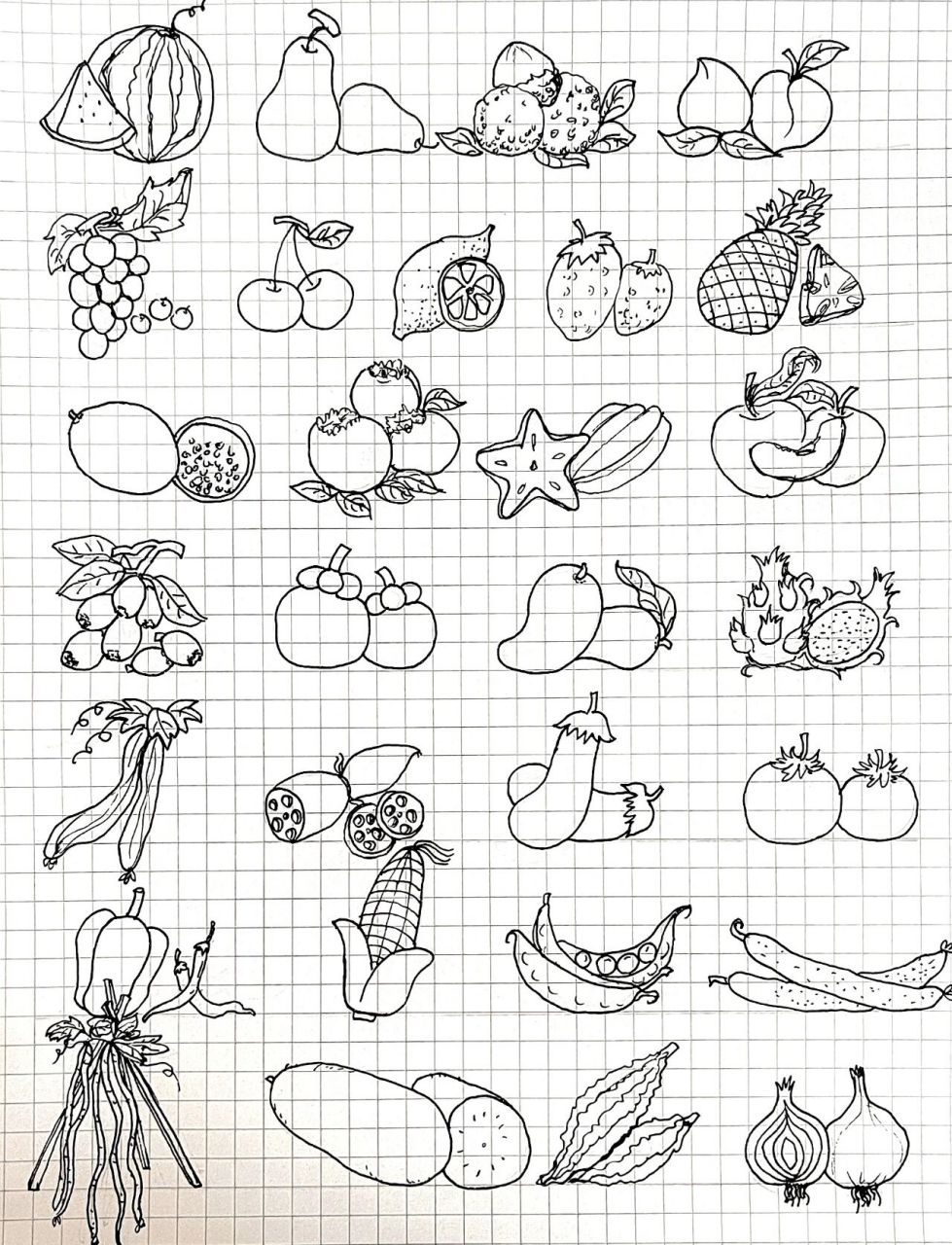 夏日果蔬简笔画,都是爱吃的!都是美味的!