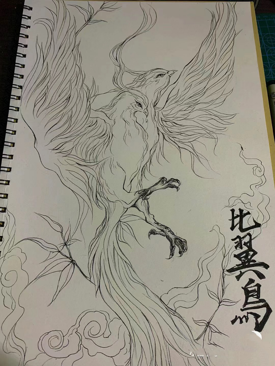 山海经手绘合集 鸟类异兽 打卡99