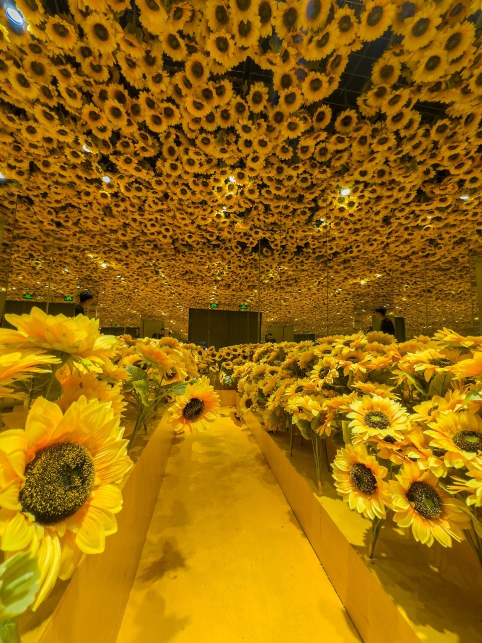 广州新开梵高星空艺术馆,到底值不值得去71 99地址:天河区林和