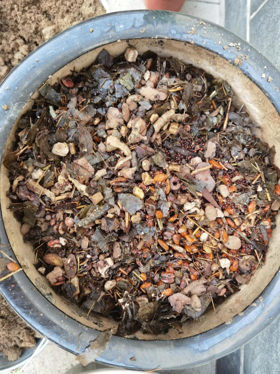 中药渣堆肥开始啦 看到很多花友自己堆肥,终于忍不住动手啦,旁边有个