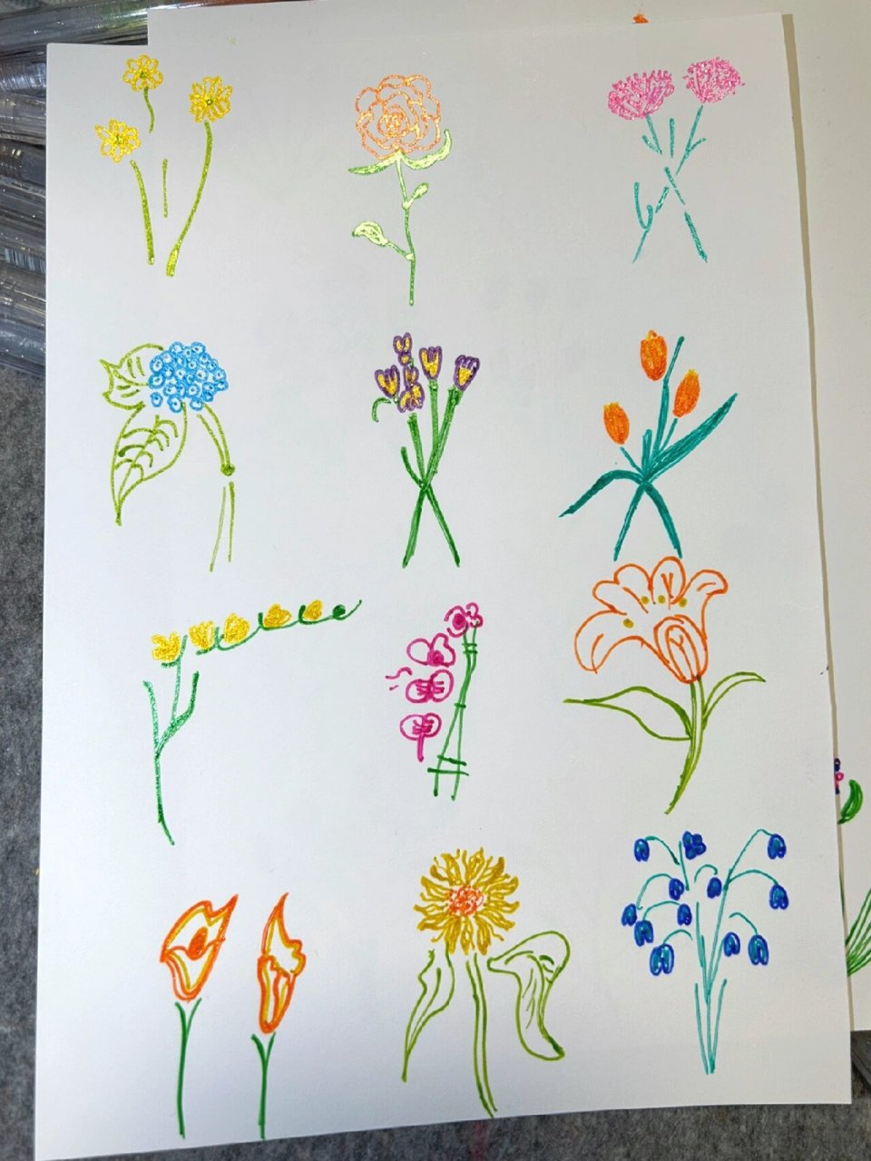 植物花卉简笔画 装饰画 彩色荧光笔 色彩让人心情愉悦🌈 五彩缤纷是