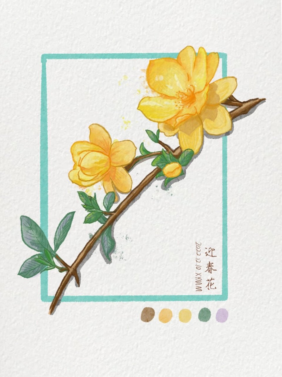 98水彩手绘植物—迎春花(含教程) 第一次尝试水彩质感磨了好久qaq