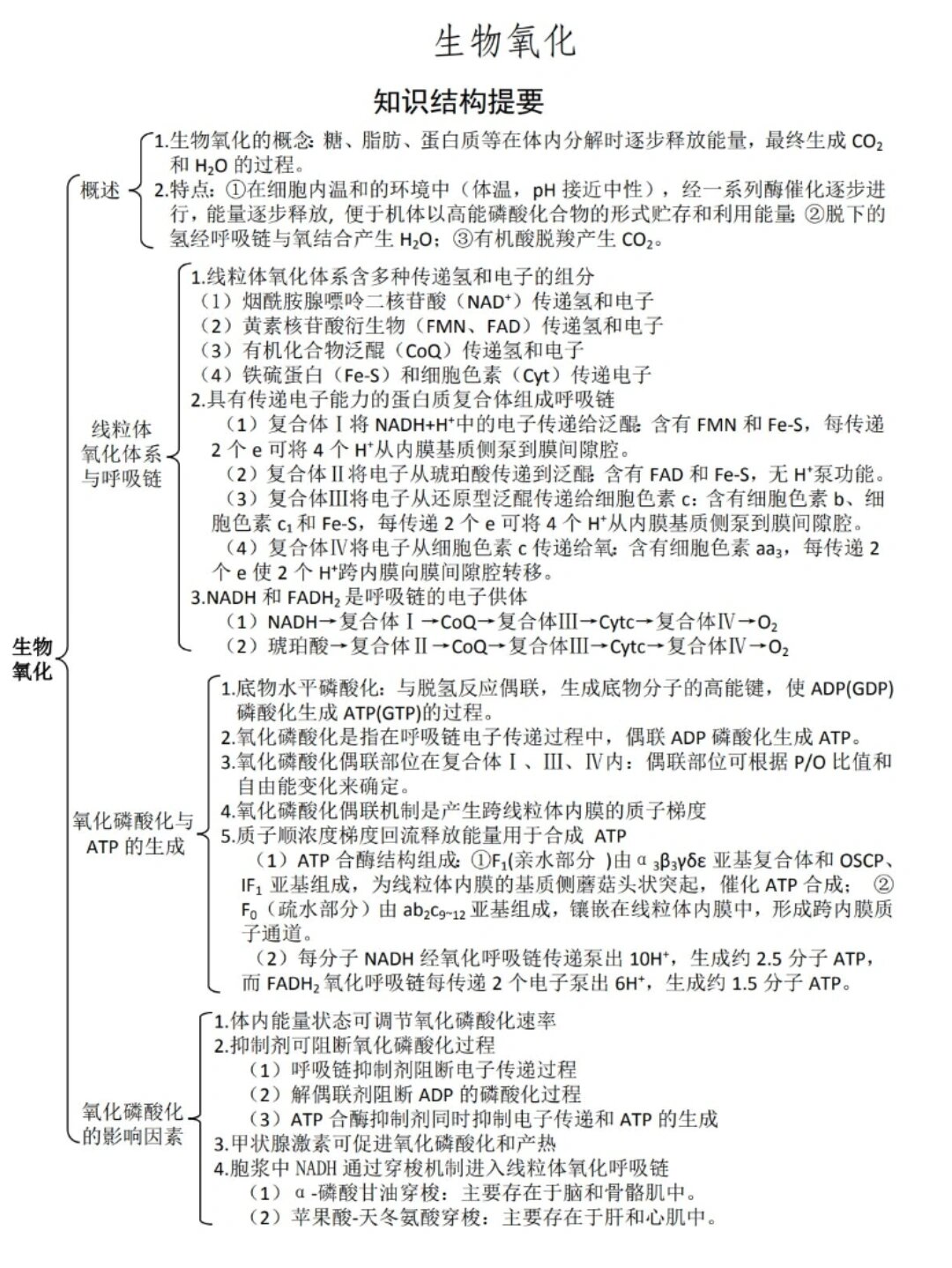 氧化物的思维导图图片