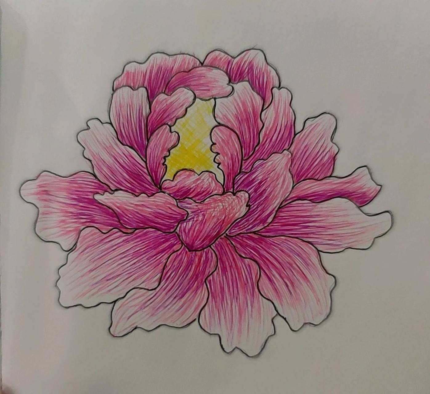 简笔画,牡丹花 [害羞][害羞][害羞]