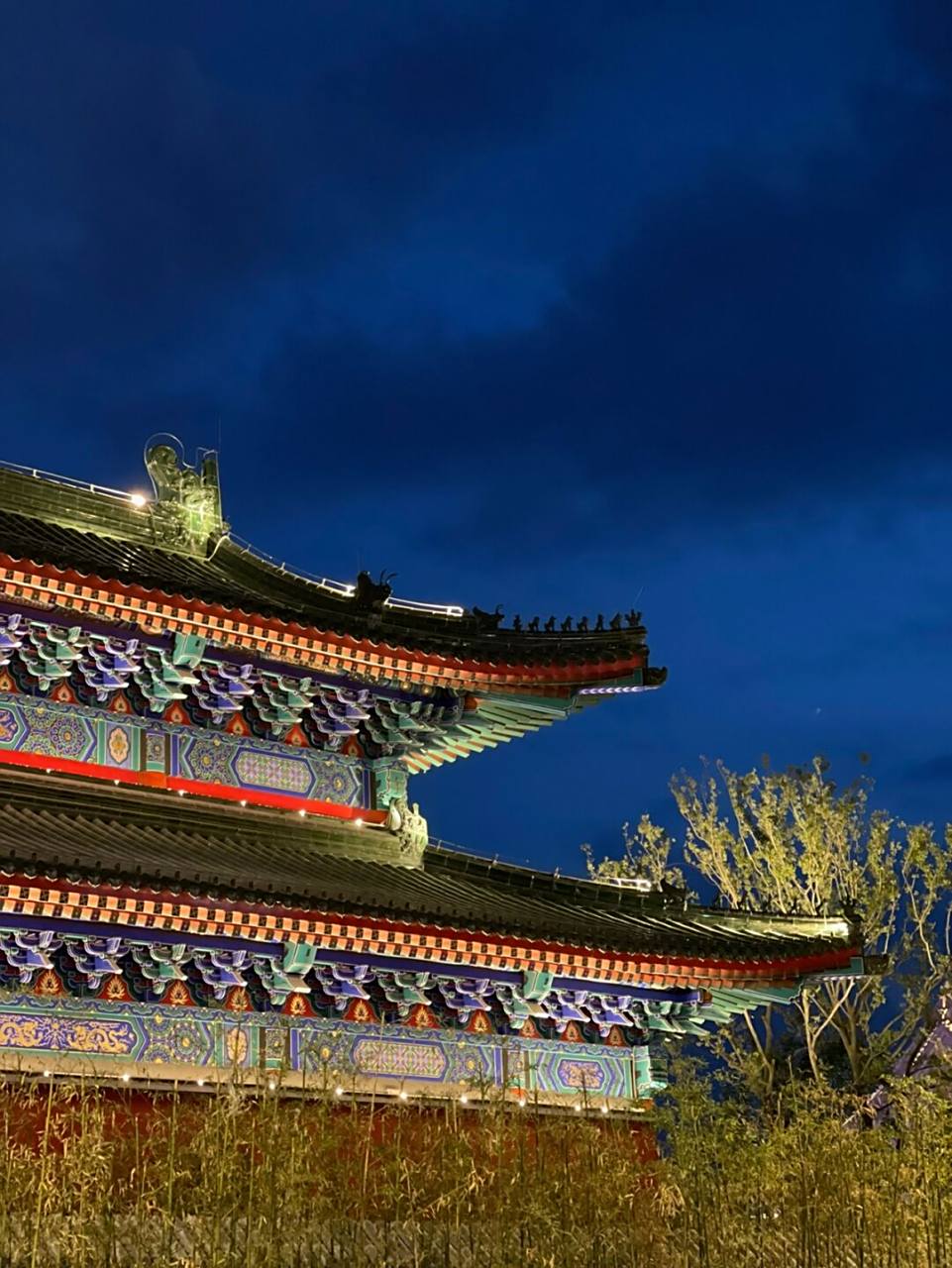 咱家门口的曹州古城太漂亮啦! 封了两个多月的大学生终于出门啦!