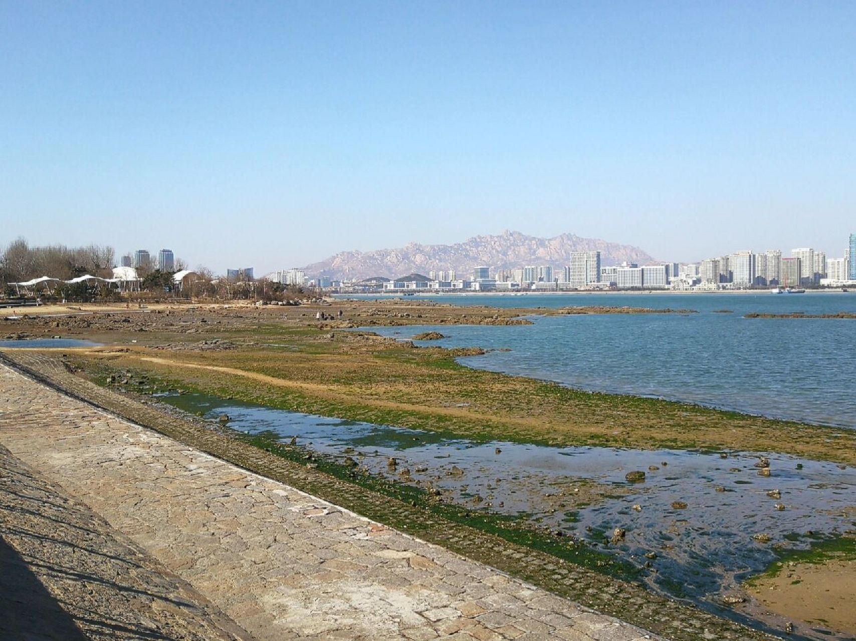唐岛湾国家湿地公园 唐岛湾上流汇(公共艺术园)往东—西海岸美术馆段