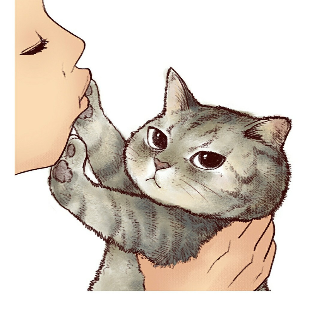 《铲屎官请自重》第一季 元宵节快乐分别是灰狸花  奶牛猫 加菲 折耳