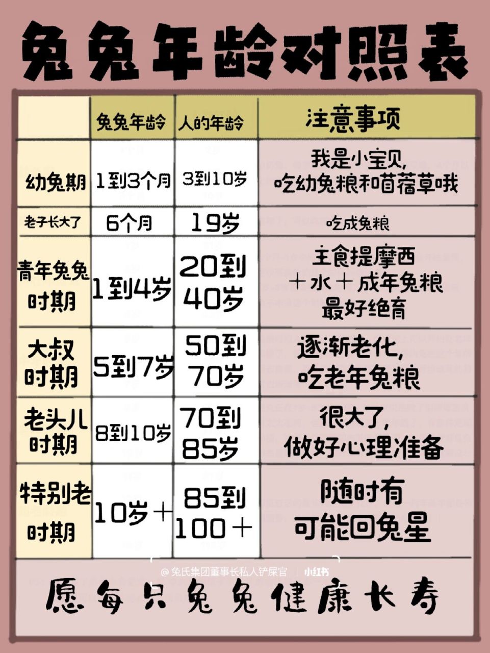 兔兔年龄对照表 兔子年龄表,这个就是根据兔子的年龄来对人类的年龄