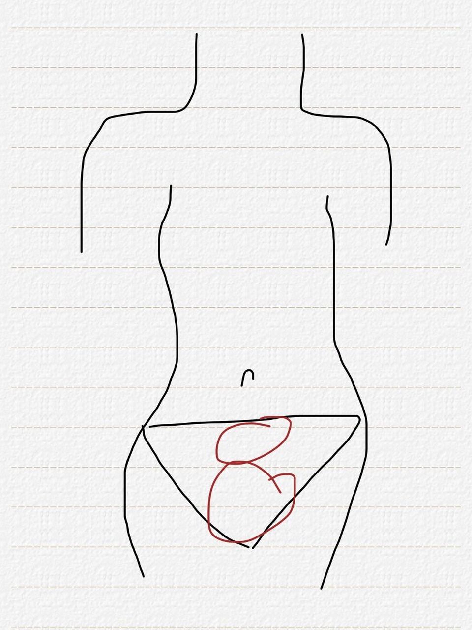 女性下腹部三角区图片图片