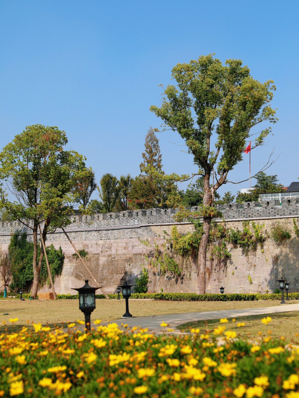 浙江最完整的古城墙 竟然在富阳7515 杭州富阳新登古城的城墙, 扎