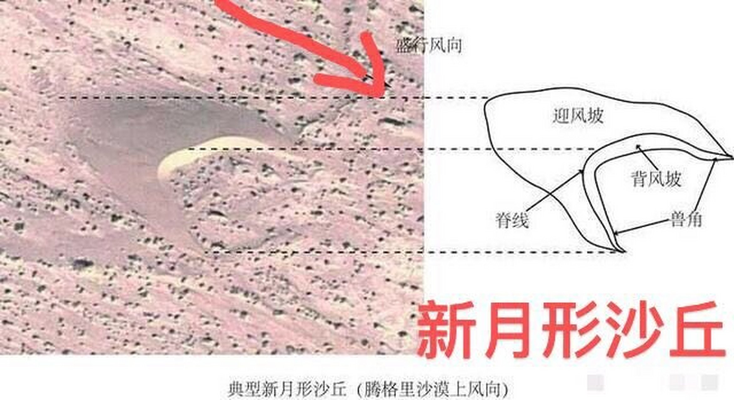 抛物线形沙丘形成过程图片