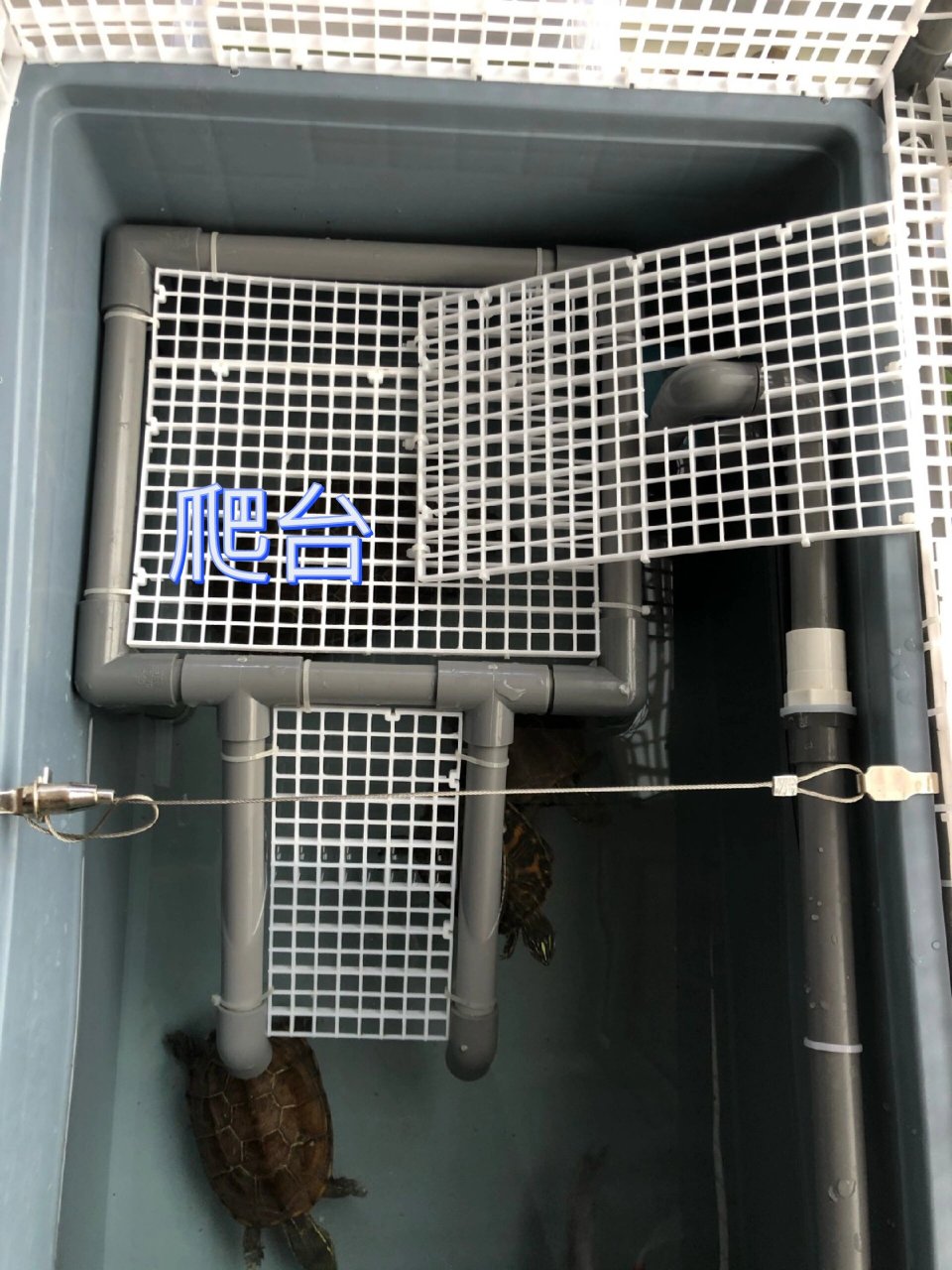 自制周转箱龟缸教程来咯 思来想去我还是决定用图片加文案的方式来
