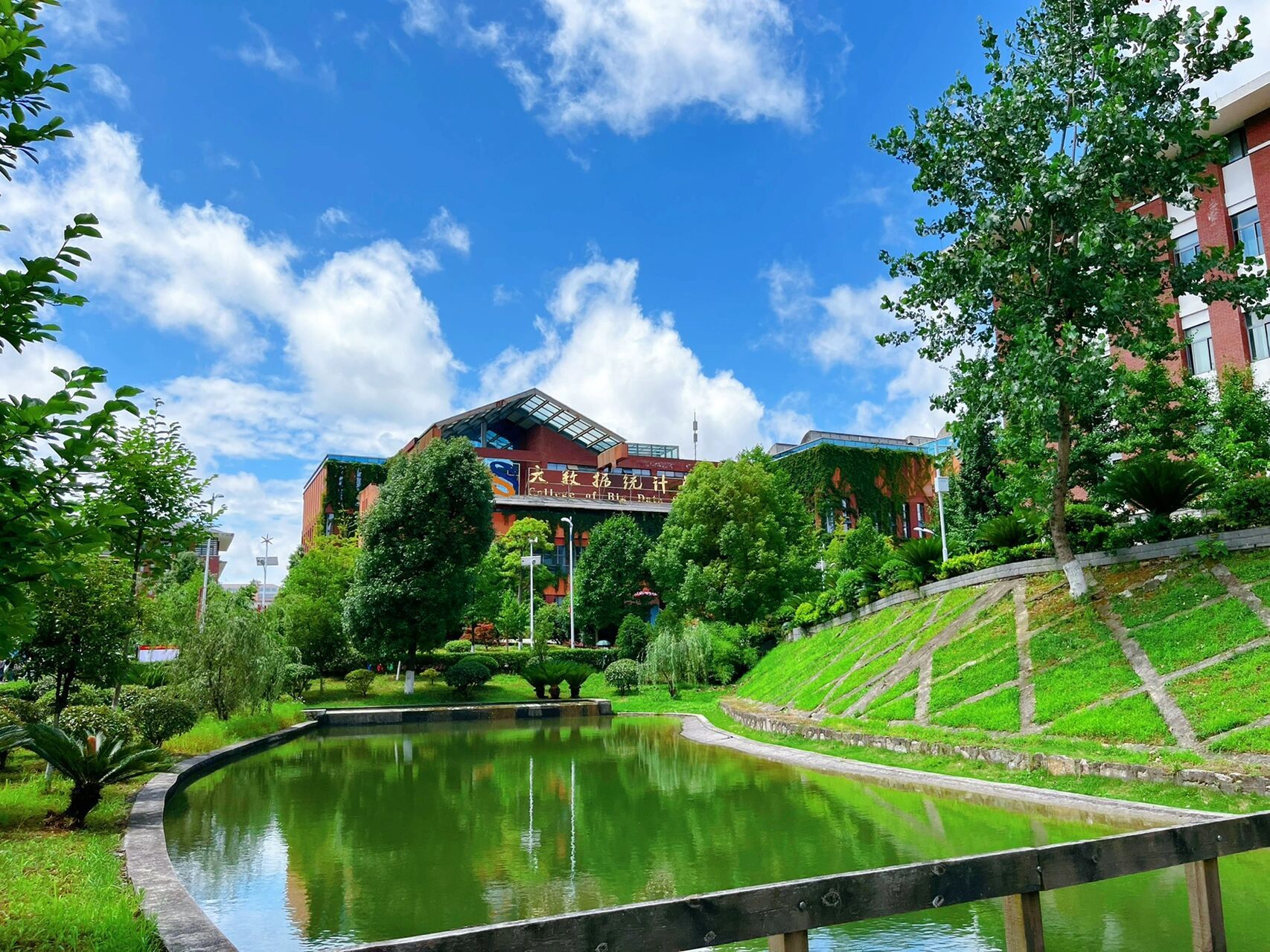 贵州财经大学 全景图图片