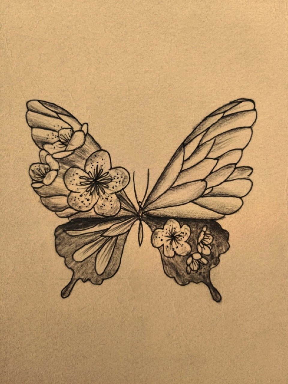 手绘蝴蝶🦋 #纹身# #手绘临摹# #蝴蝶纹身