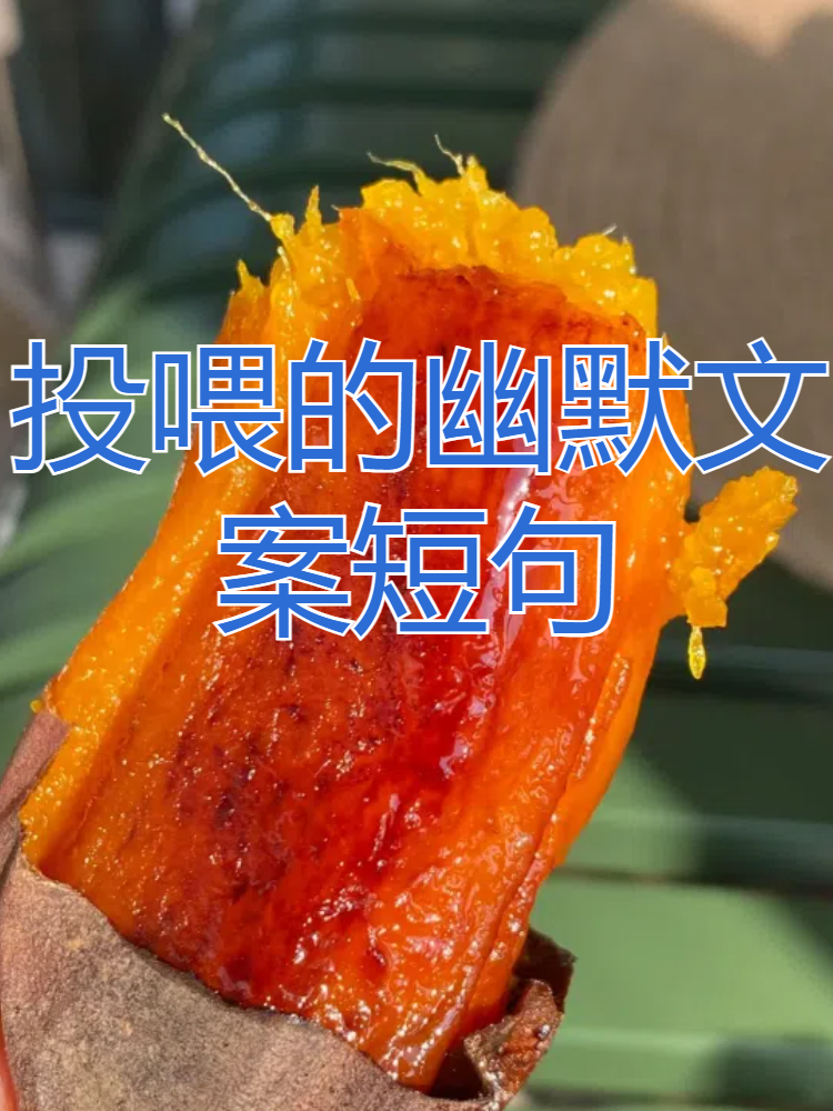 这明明是一门需要高超投喂是什么意思来自同事投喂的搞笑图片给儿子投