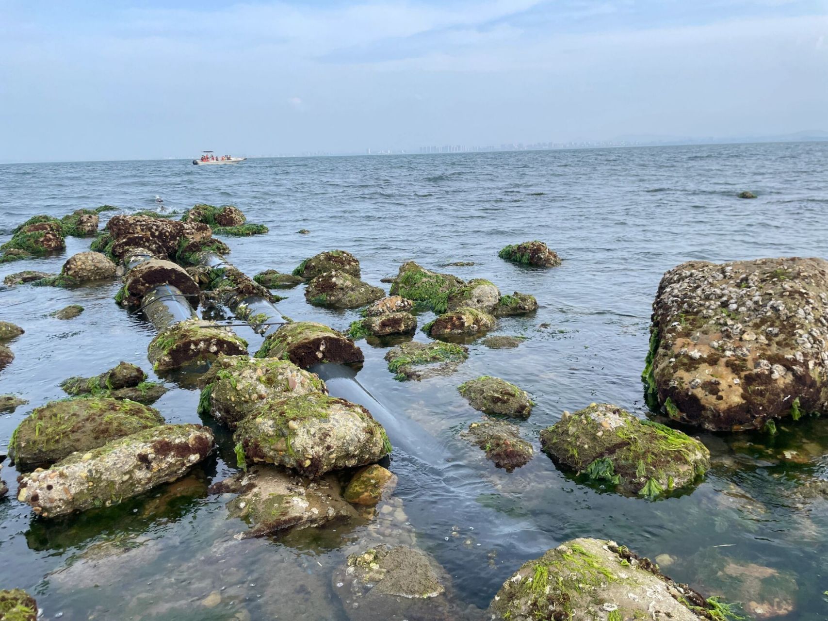 来蓬莱不能错过的长岛赶海 谁懂啊,这里赶海真的太快乐啦!