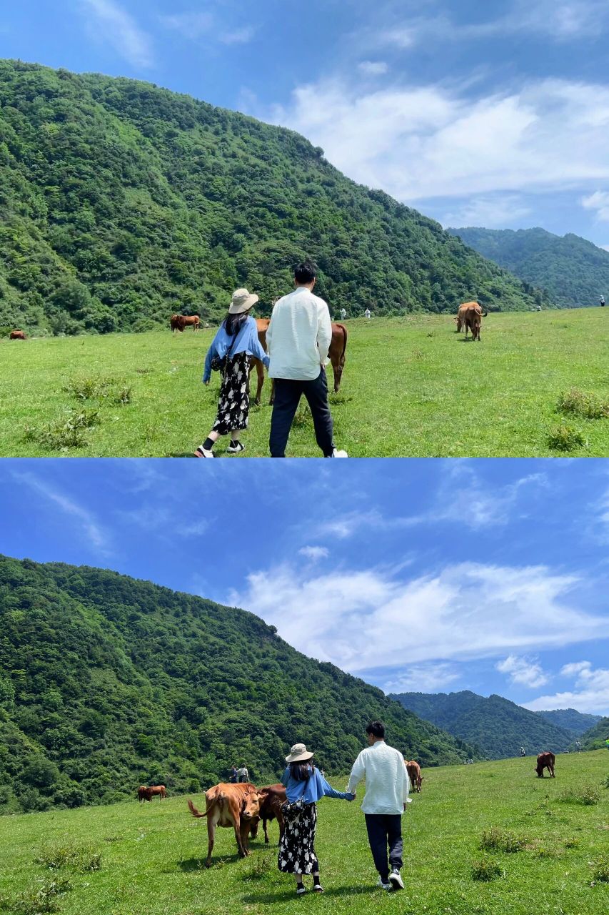 留坝狮子沟太治愈啦  留坝很凉快 风大的时候甚至有点冷 狮子沟牧场