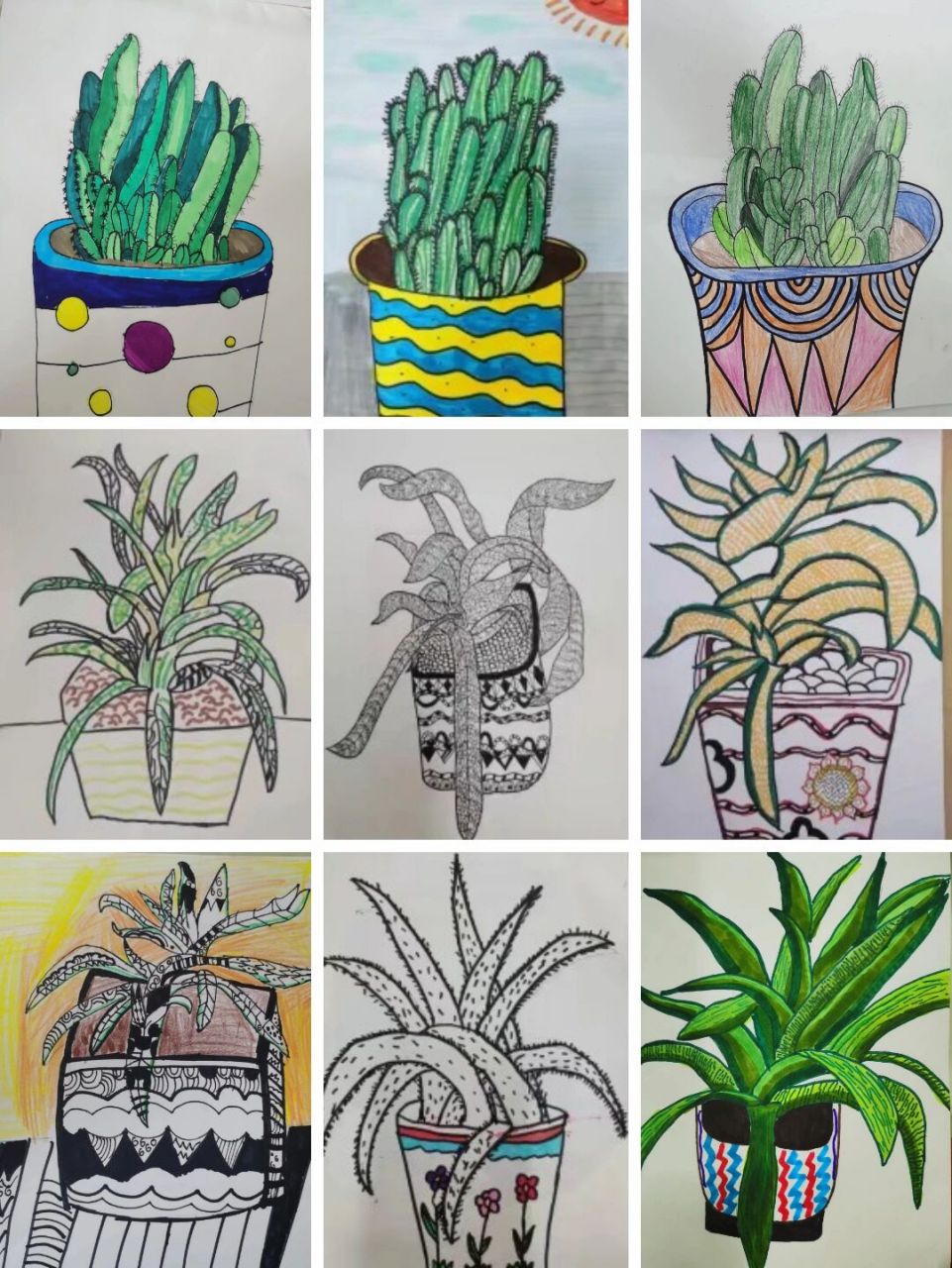 四年级植物写生作业图片