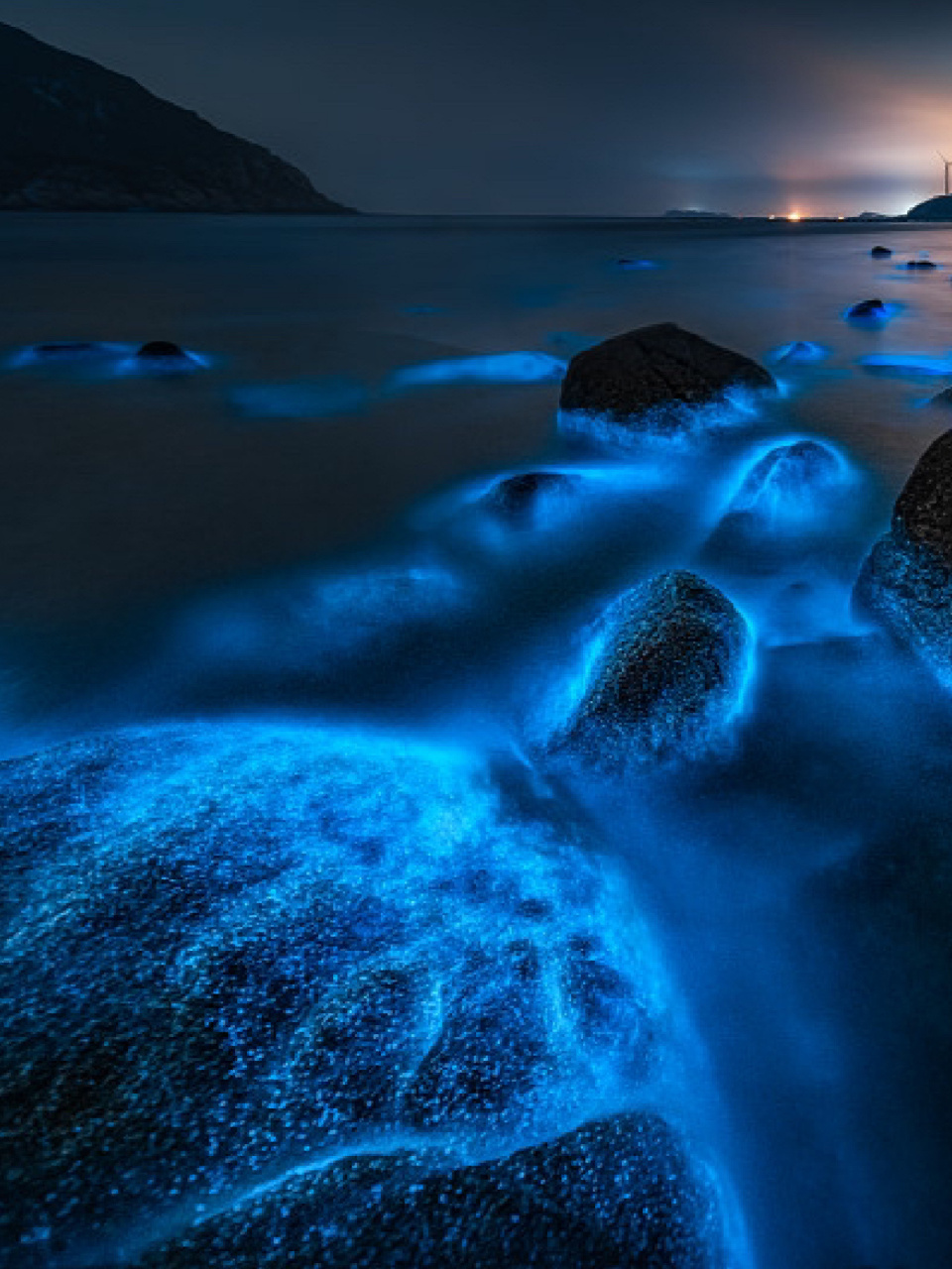 涠洲岛蓝眼泪攻略91快来一起看荧光海! 91什么是蓝眼泪?