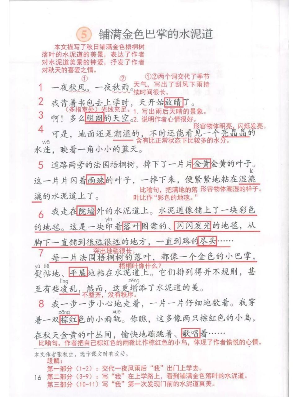 三上第5课《铺满金色巴掌的水泥道》笔记 #小学语文课堂笔记# #铺满