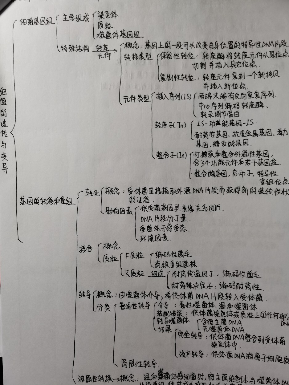 病原生物学思维导图 包含内容: 绪论 第一章 细菌的形态与结构 第三章