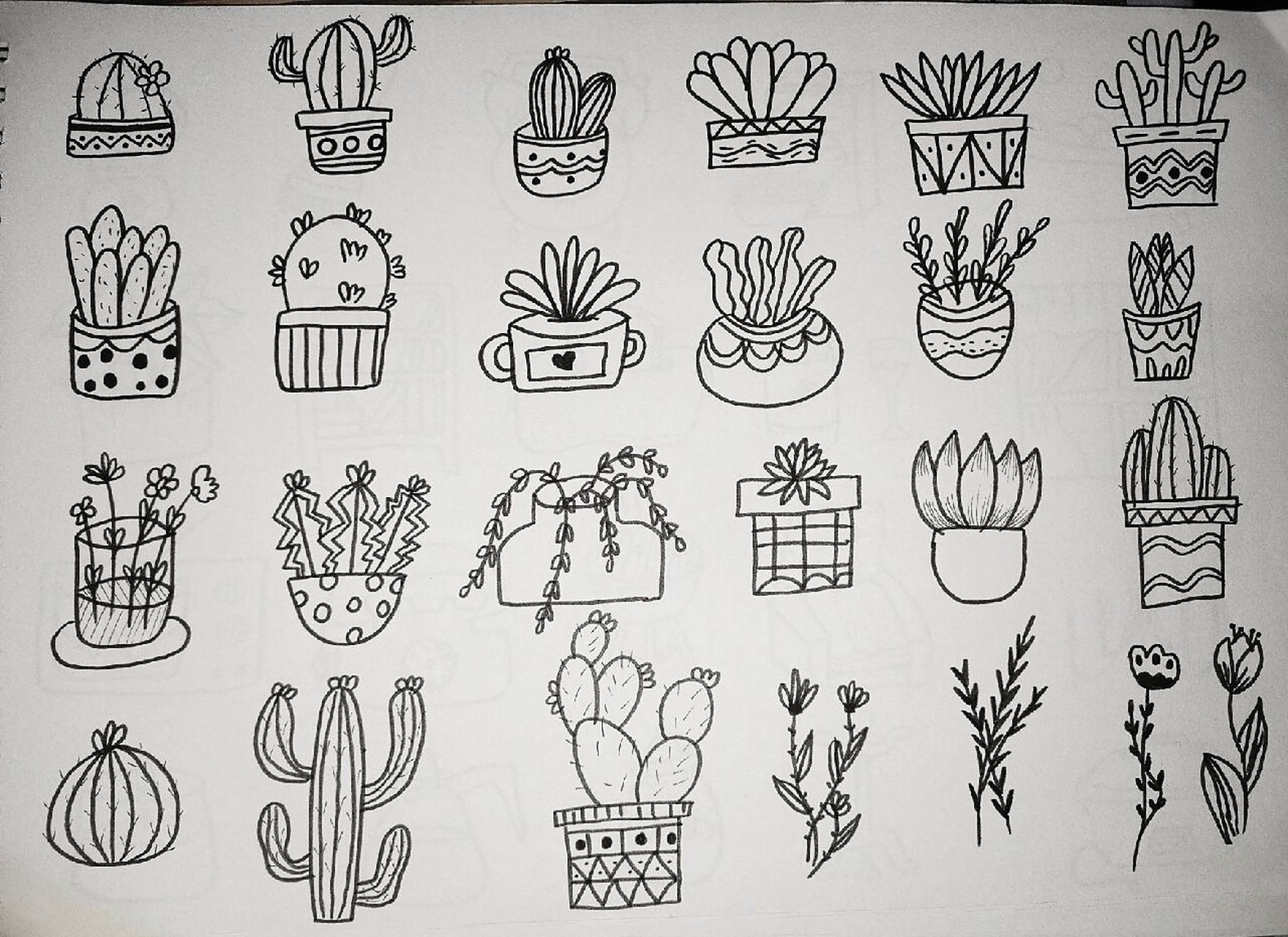 简笔画——植物篇 各类花朵,盆栽简笔画