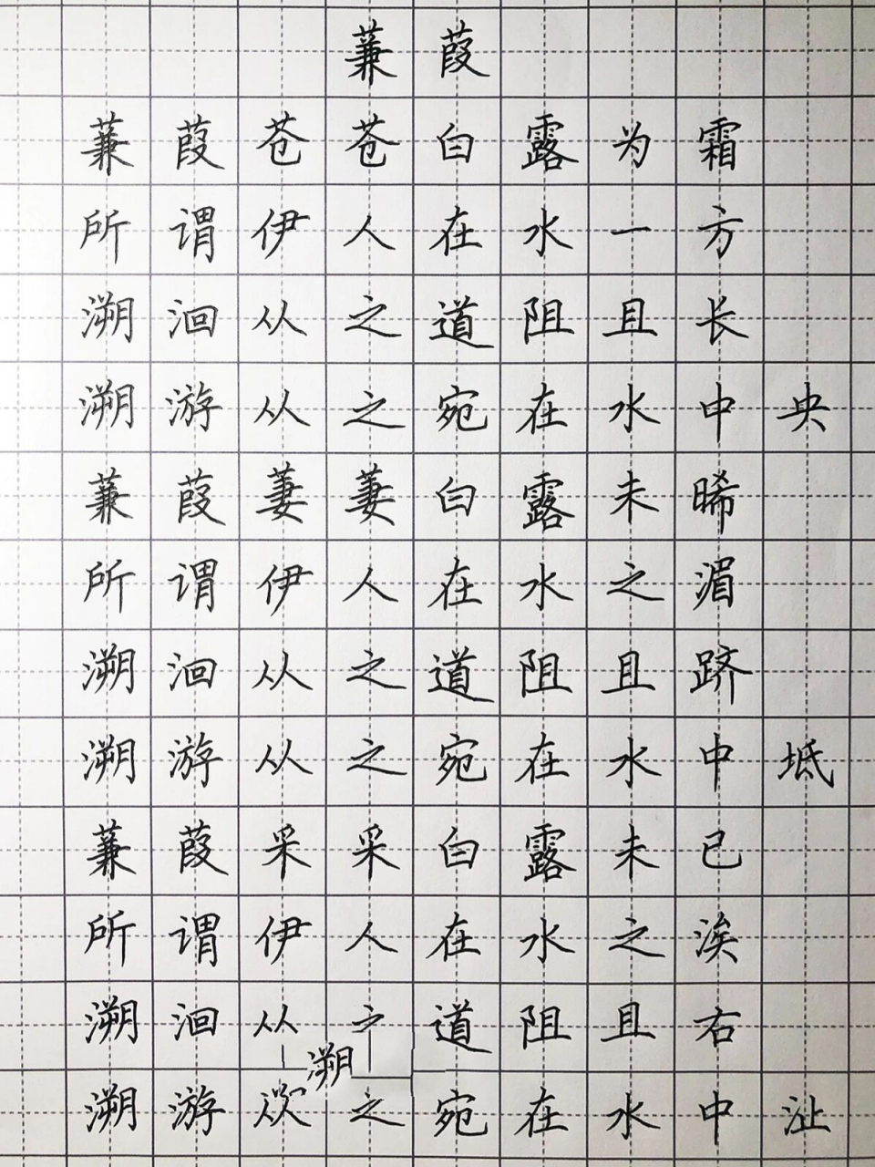 手写丨硬笔楷书《蒹葭》 蒹葭苍苍,白露为霜.所谓伊人,在水一方.