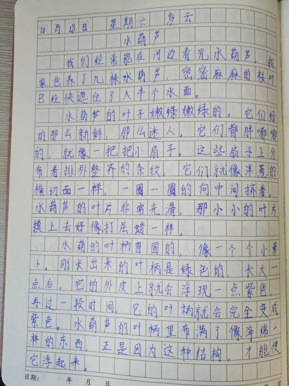 观察日记作文300字左右四年级(观察日记作文300字以上四年级)
