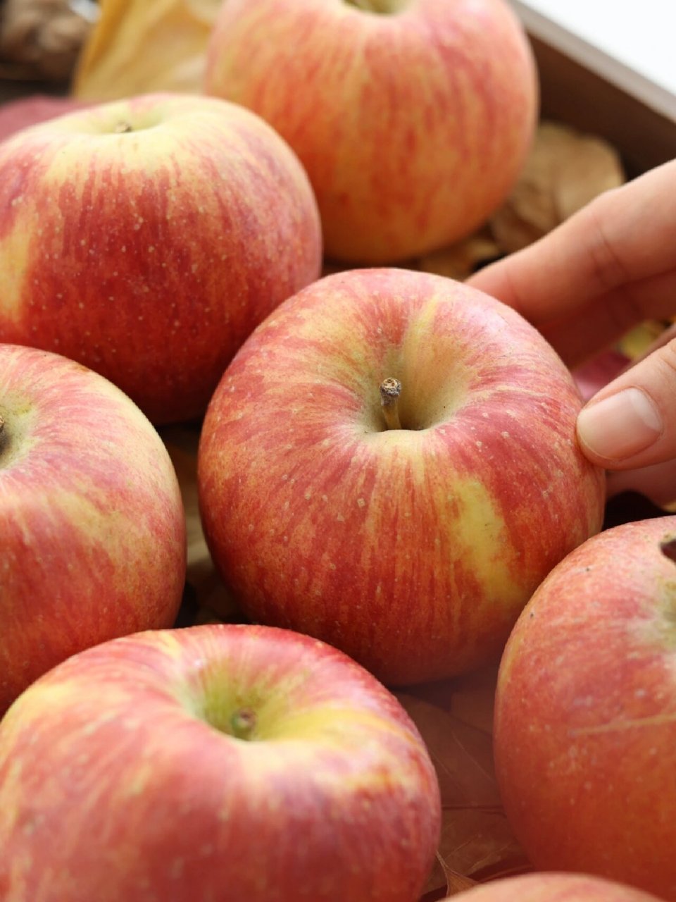 今年收到的丑苹果有点好看 来自山西运城的糖心丑苹果 切了几颗几乎都