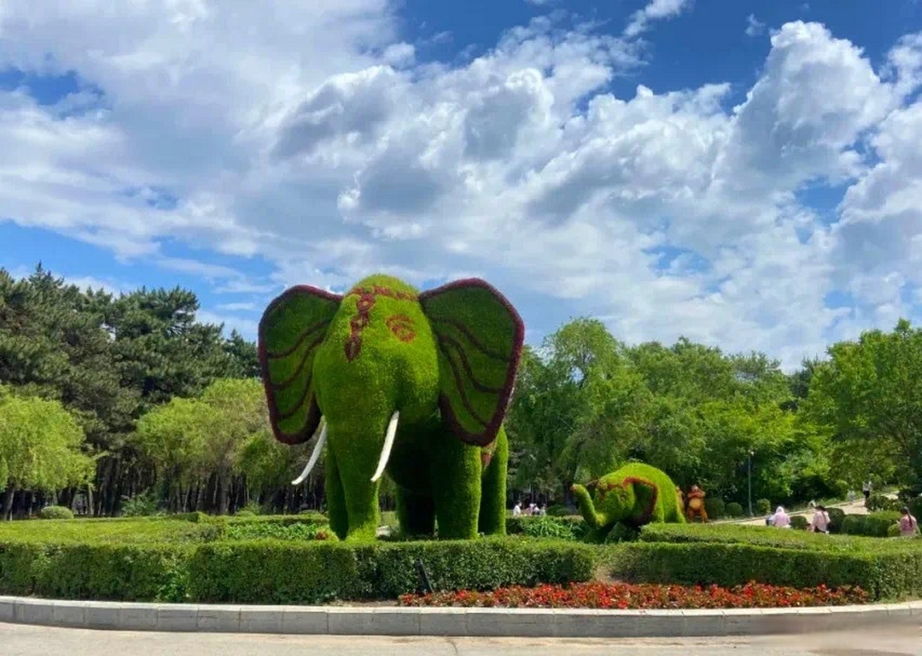 【长春动植物公园新增多个花卉景观打卡点】#长春发布# 近日,公园技术