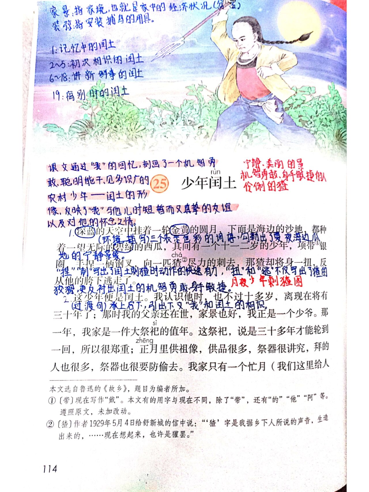 《少年闰土》课堂笔记图片