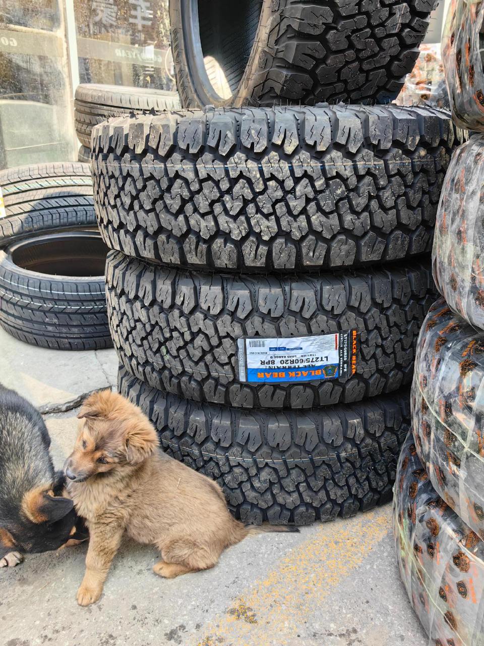 黑熊轮胎 黑熊越野轮胎