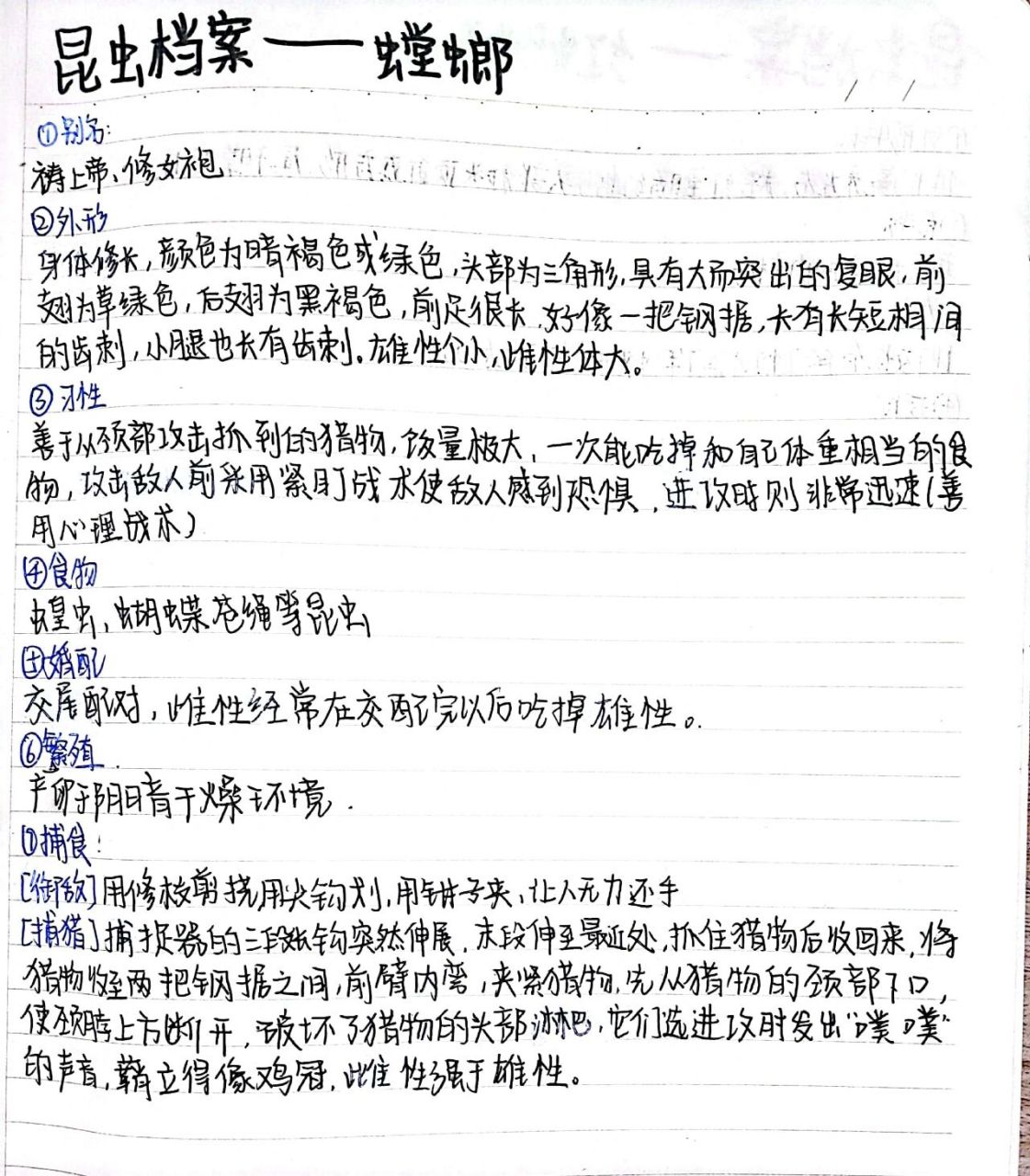 昆虫档案—螳螂 更新了  更新了