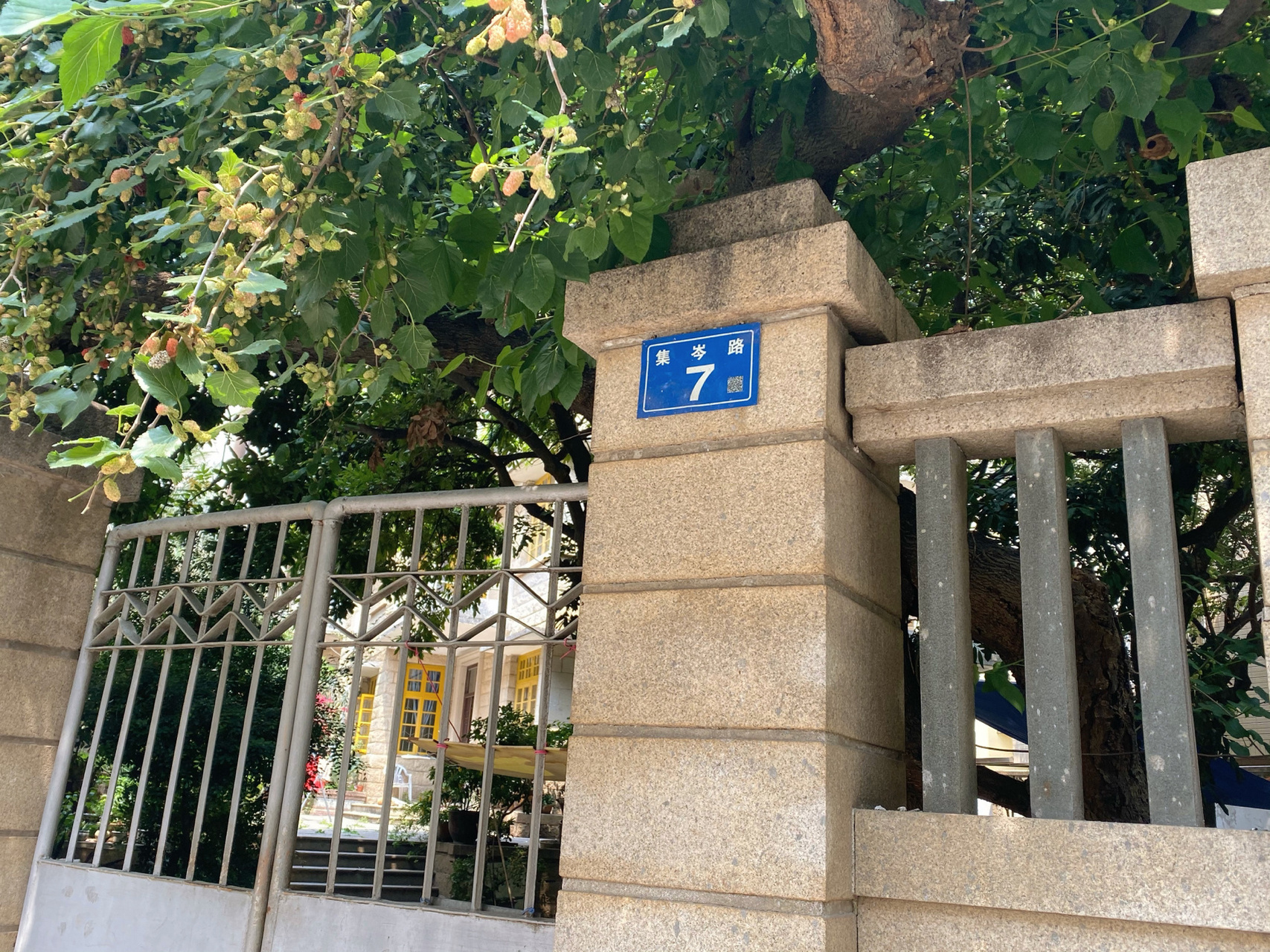 发觉眼前的房子很眼熟,原来是一起来看流星雨楚雨荨的家.