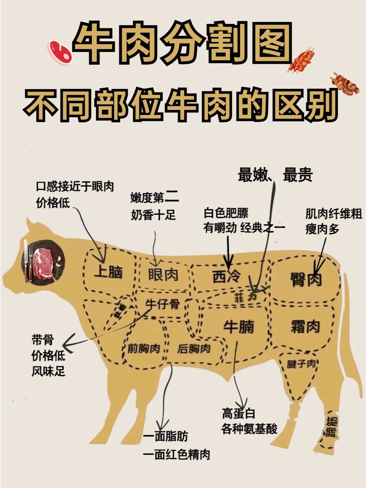 牛肉相克大全图片