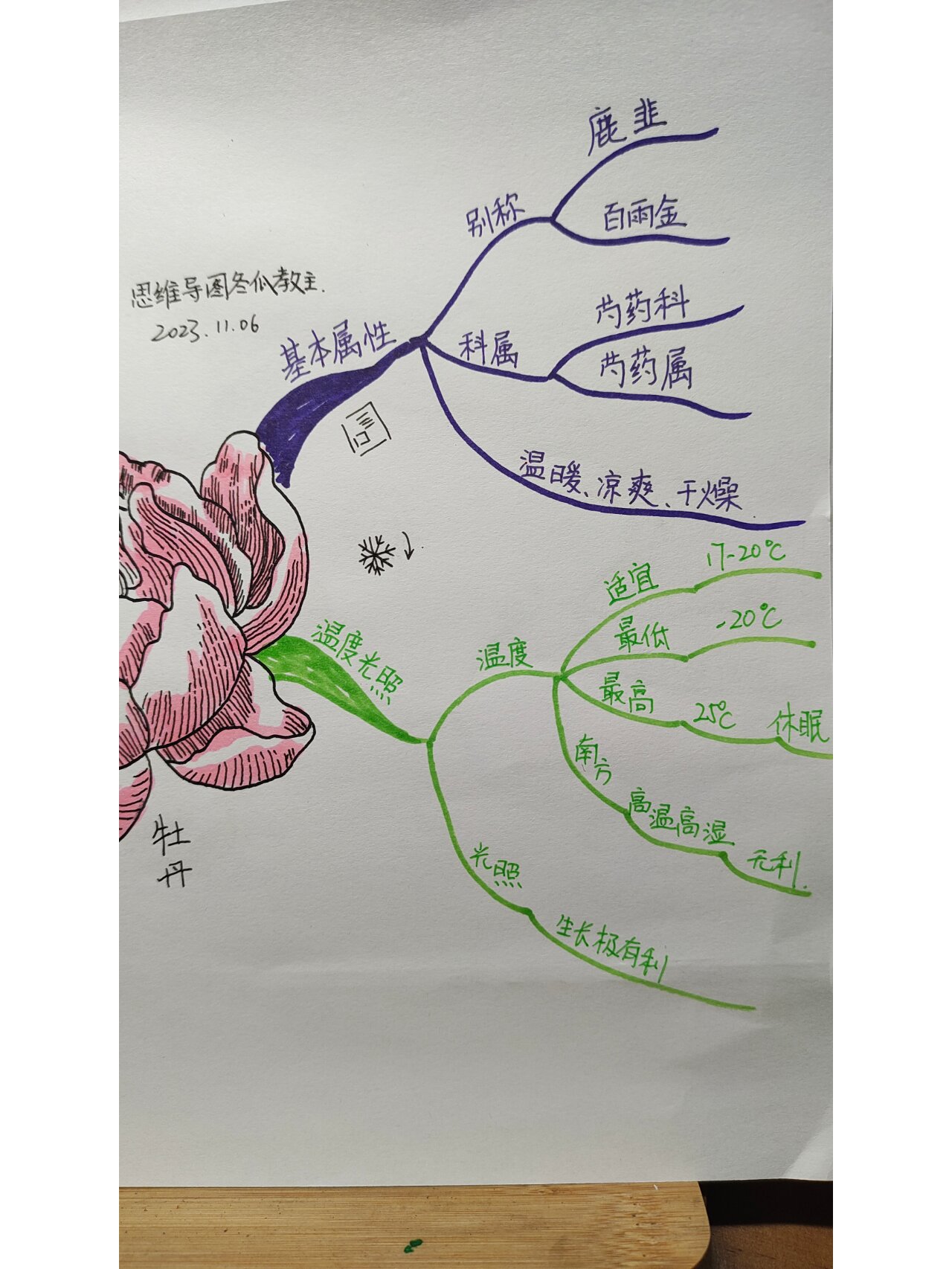 开花过程思维导图图片