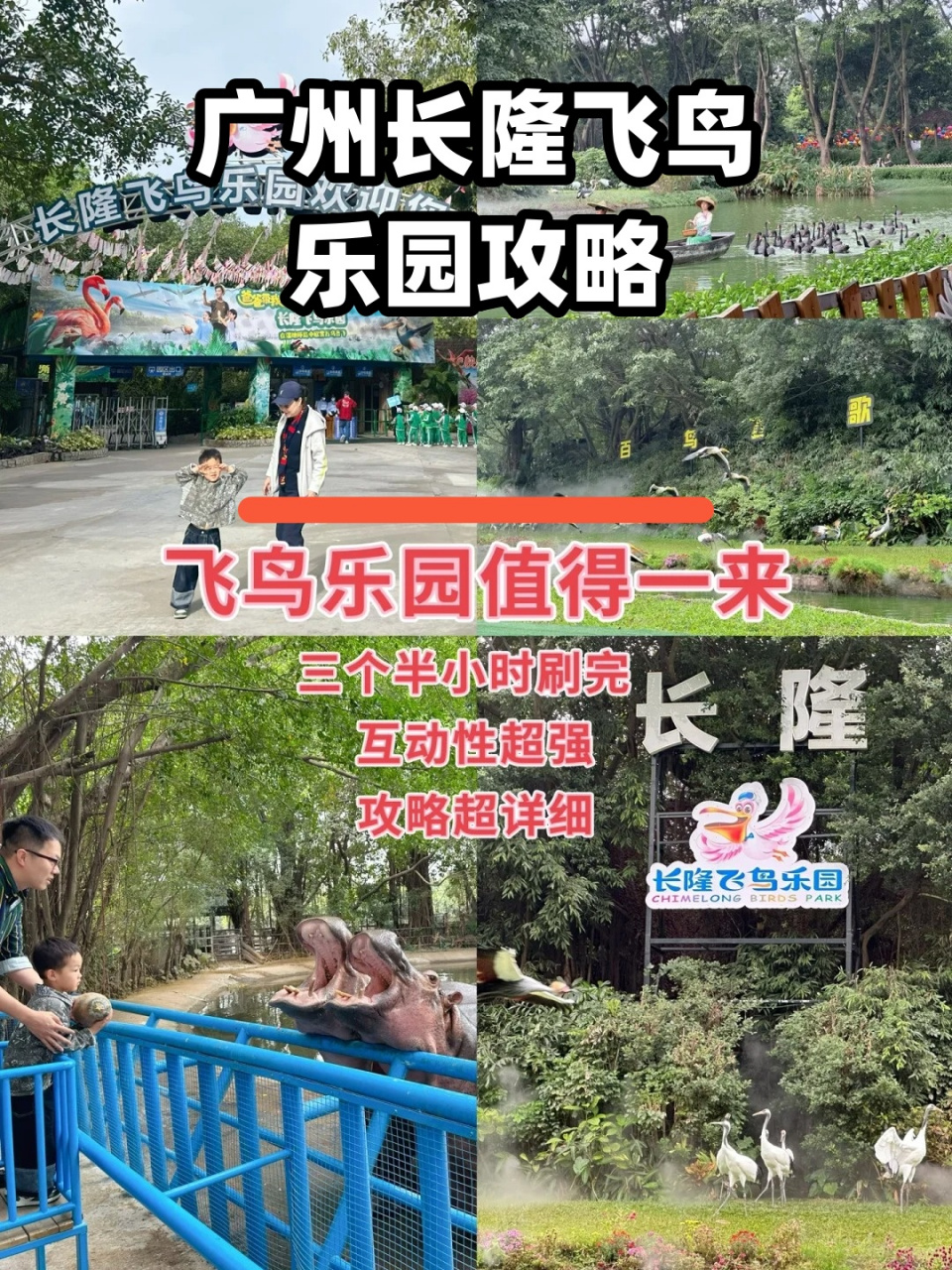 广州长隆飞鸟乐园攻略 广州长隆飞鸟乐园——值得一来7515  如果