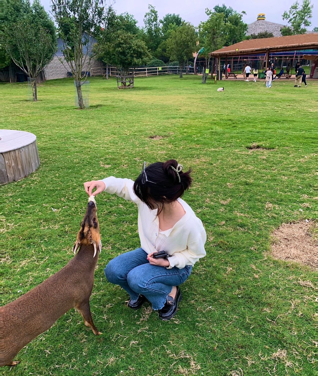 南京金牛湖野生动物园旅游攻略 国庆day one旅游919191 美美团