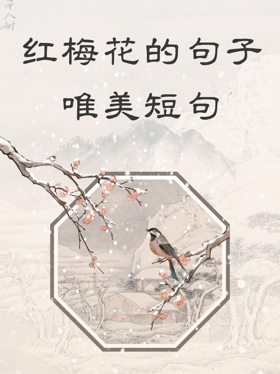 形容红梅的优美词句