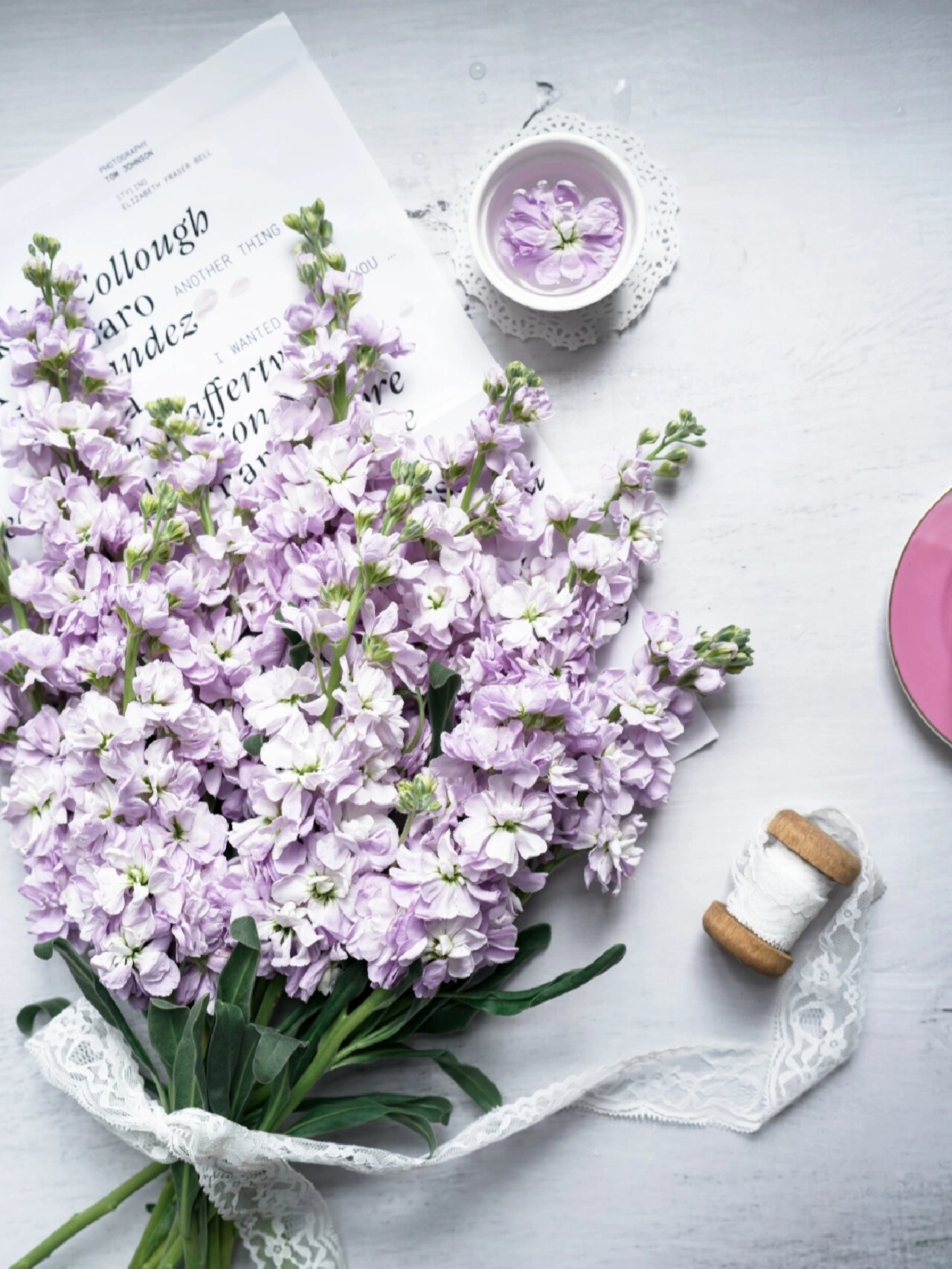 鲜切花紫罗兰的养护及多角度拍摄